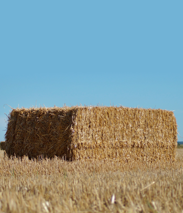Balles de paille